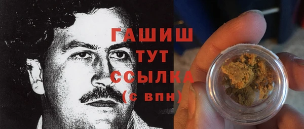 гидра Корсаков