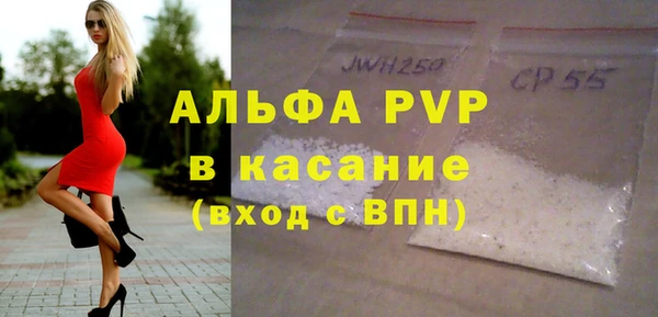 гидра Корсаков
