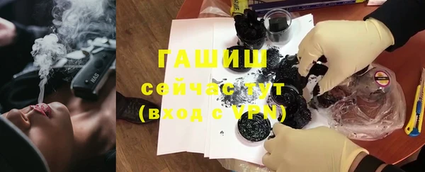 гидра Корсаков
