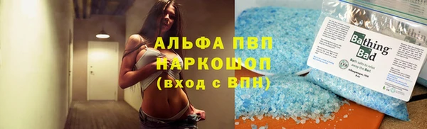 гидра Корсаков